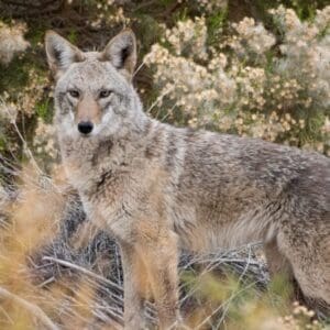 Wetlands Park Friends