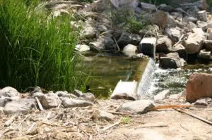 A weir view with green shrubs on the side