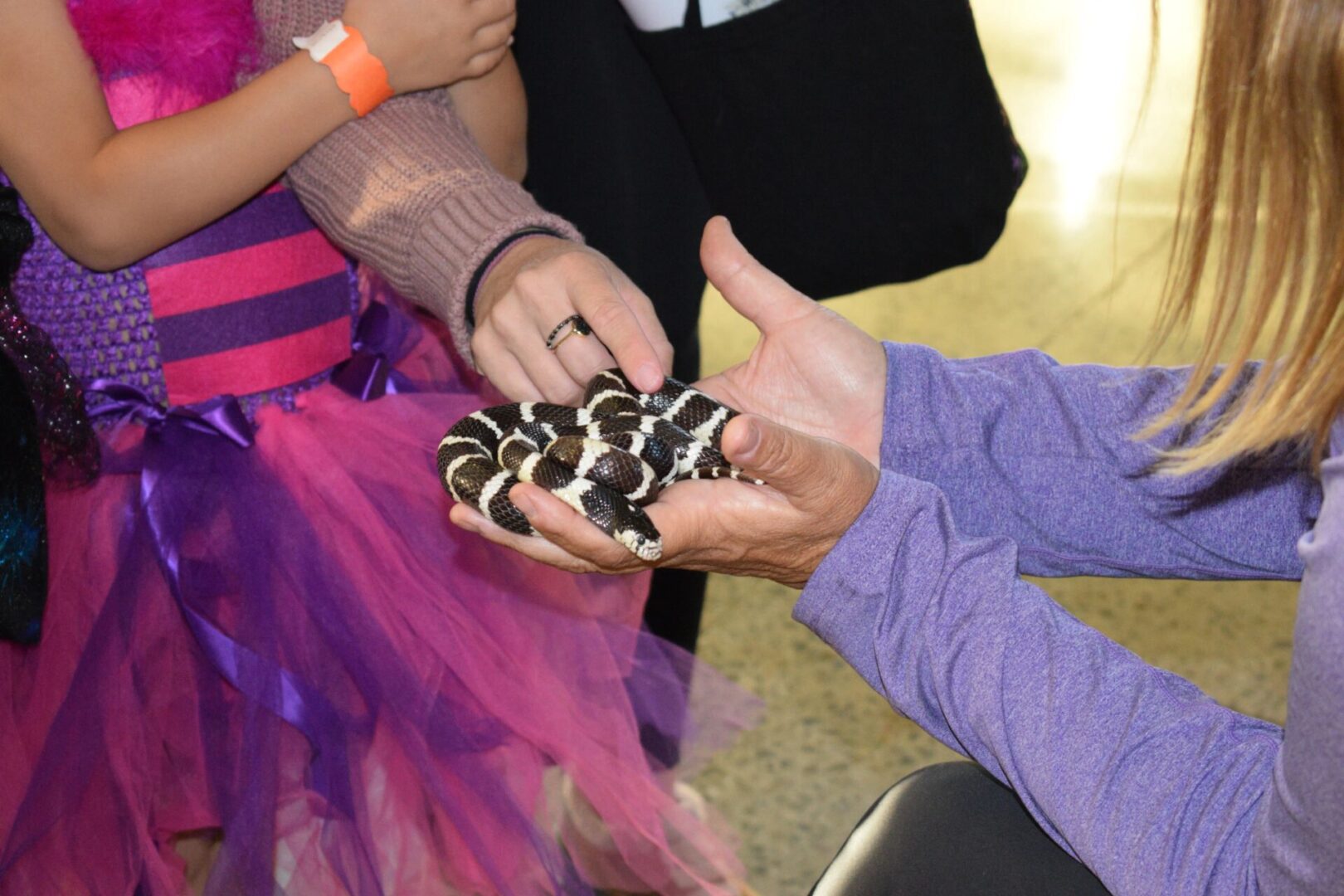A girl in a purple dress is holding a snake.