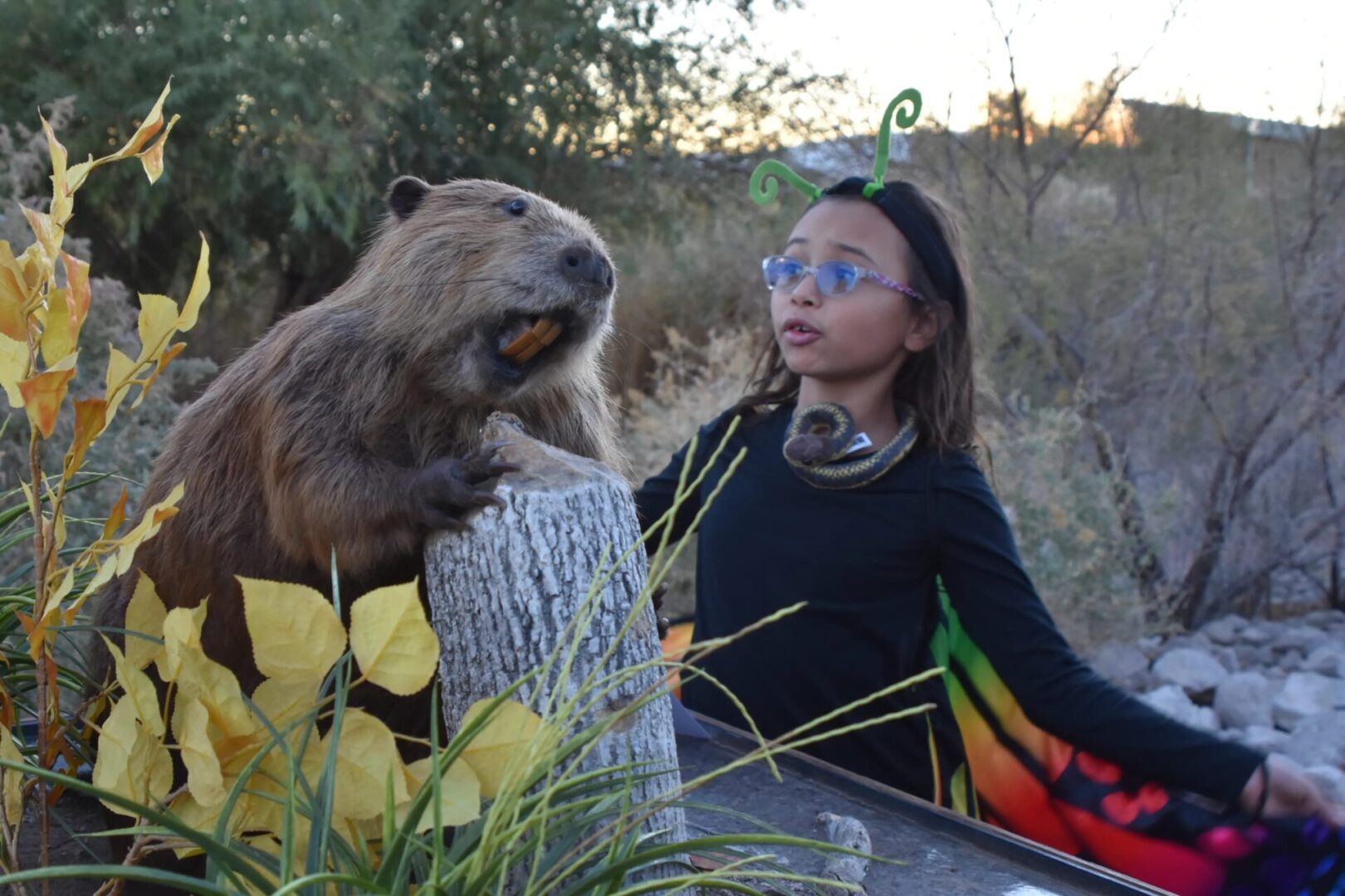 A girl is standing next to a beaver.