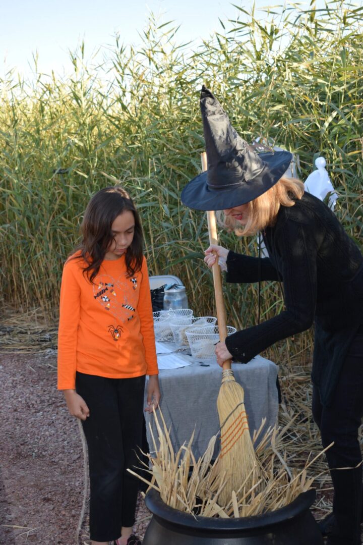 A woman in a witch hat and a little girl in a witch hat.