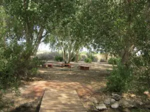 Shaded picnic area with wooden benches.