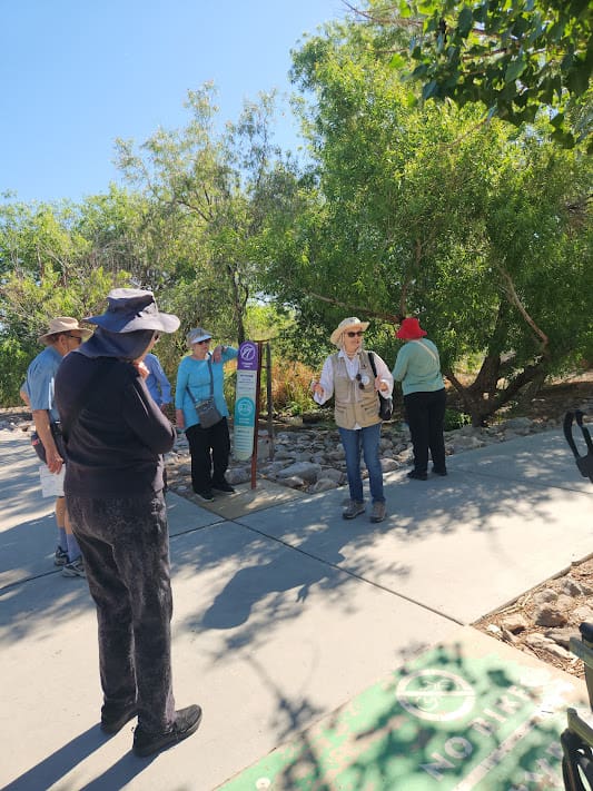 People gathered on a sunny nature trail.