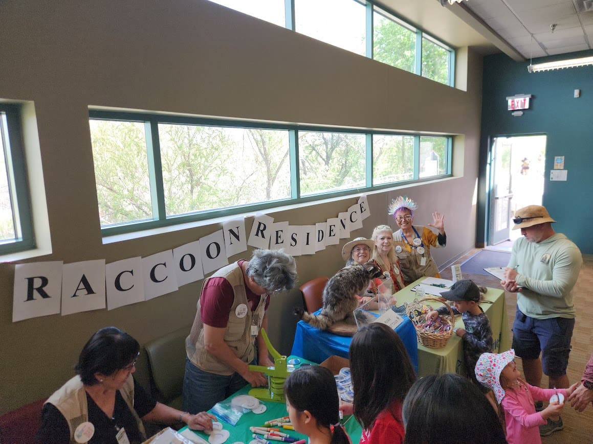 Raccoon Residence Banner