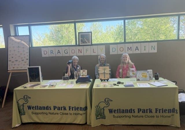 Dragonfly tabling team prepared for action Staff-Light
