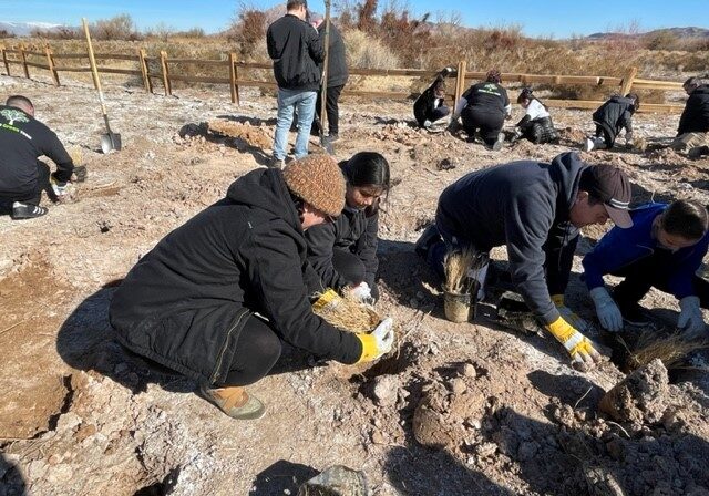 Wetlands Park Friends Assists In Park NFL Green Event