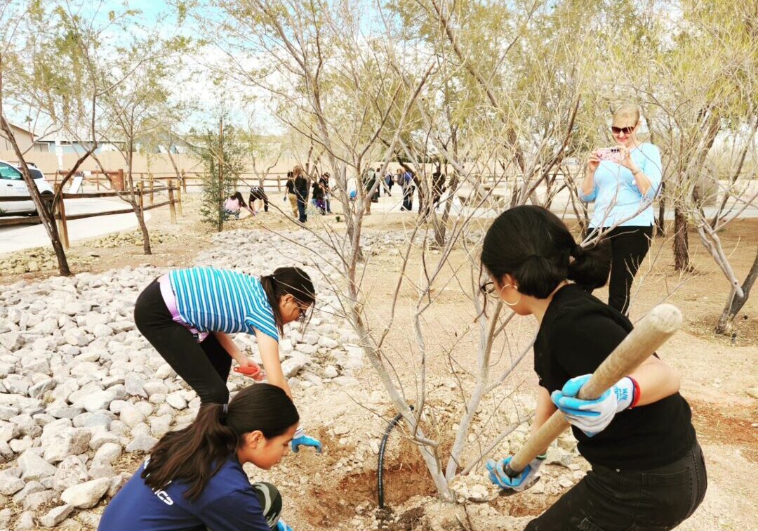 A group of children are planting a tree in the desert.