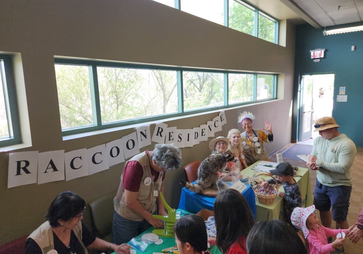 Raccoon Residence Banner