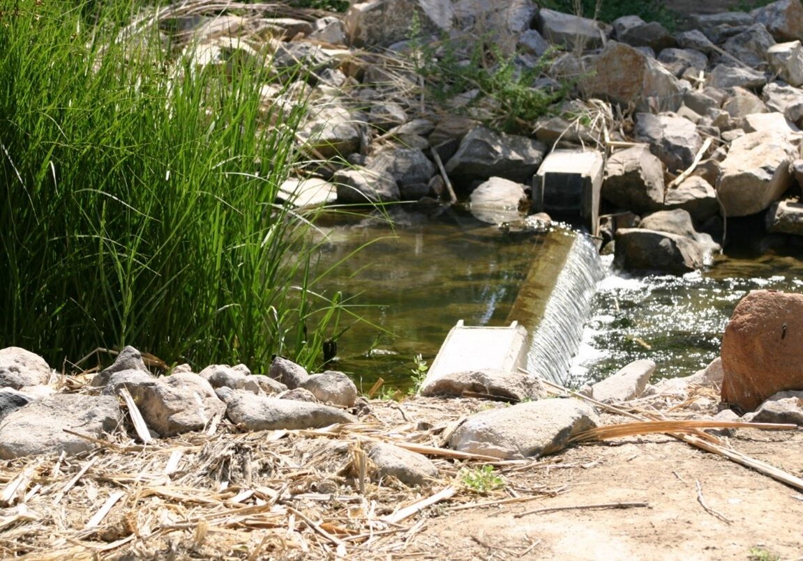 A weir view with green shrubs on the side